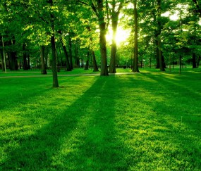 怀孕初期可以喝黑糯米粥吗