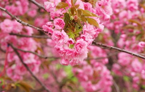 小孩发烧嘴巴里说话都是热气