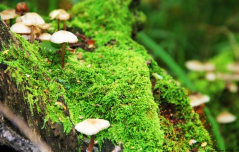 怀孕初期没有感觉胸痛