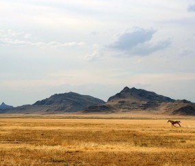 小孩发烧青天河咋推