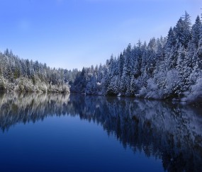 怀孕初期可以喝巧克力吗