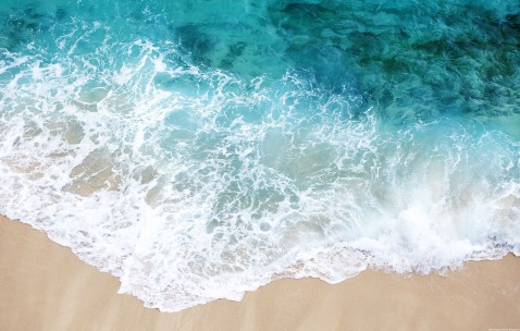 小孩发烧腹痛拉稀