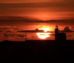 泰国试管婴儿成功率多少