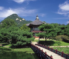 小孩发烧会流汗