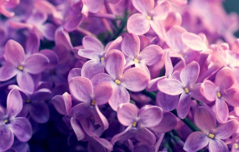 怀孕初期取暖器旁边吗