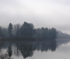 怀孕初期可以吃平鱼吗