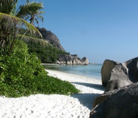 怎么样可以检测出怀孕初期