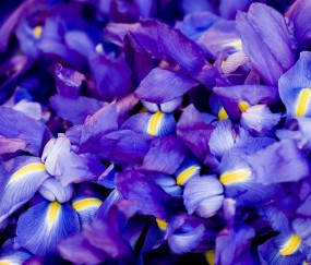 怀孕初期嘴唇发木