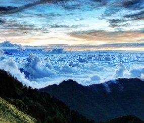 提高试管成功率