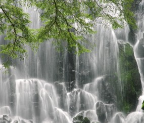 小孩发烧推多少下