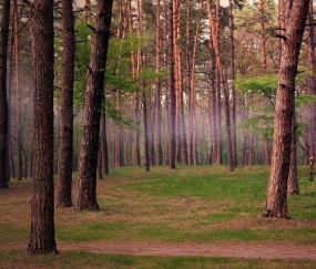 怀孕初期右侧肚子偶尔疼怎么回事