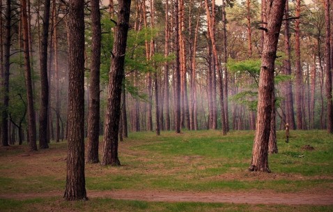 怀孕初期右侧肚子偶尔疼怎么回事