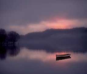 小孩发烧能吃杏吗