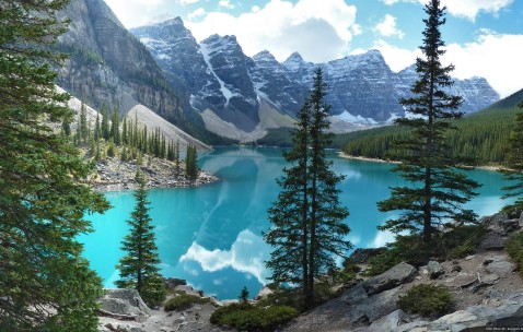 怀孕初期右手大拇指抽筋