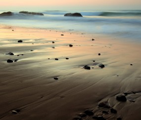 胆固醇偏高是什么食物