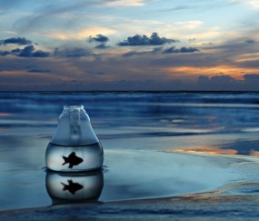 怀孕初期能吃佛派酸吗