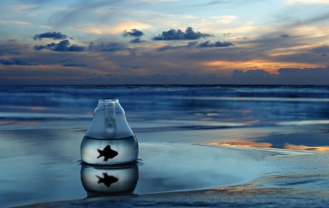 怀孕初期低血糖打针晕厥