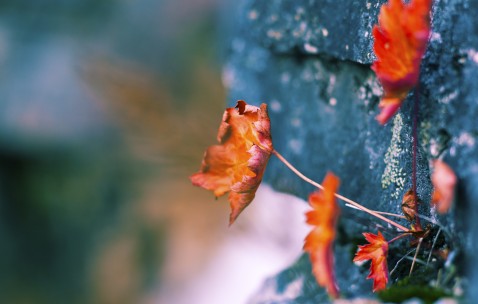小孩发烧有哪些物理降温的方法