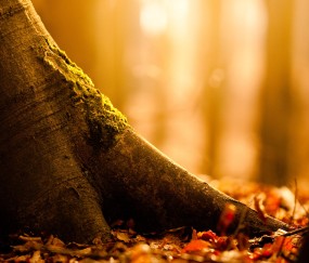 不吃早饭到底有没有坏处