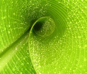 严重缺钾怎么补钾最快最有效