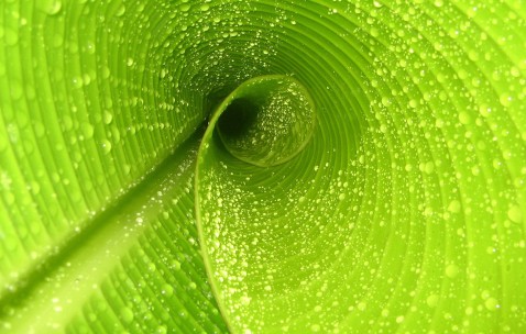 严重缺钾怎么补钾最快最有效