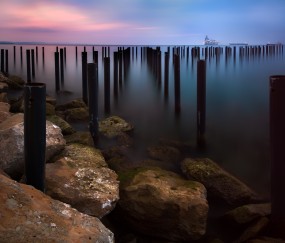 怀孕初期可以吃蜜黑桃