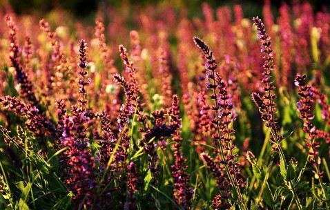 怀孕初期突然哭