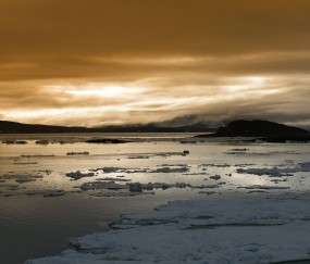 小孩男尿路感染白细胞三个加发烧