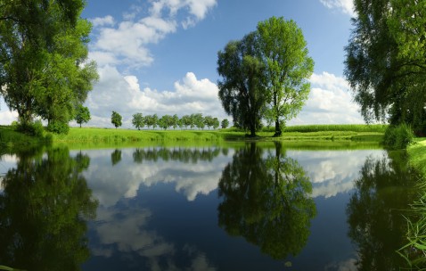 小孩发烧能不能吃红豆黄豆