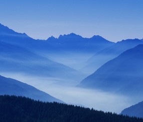 几月份试管成功率高