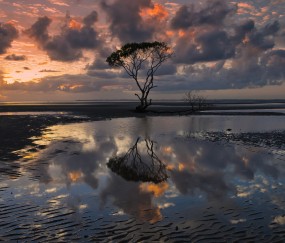 怀孕初期肚子像要涨爆一样