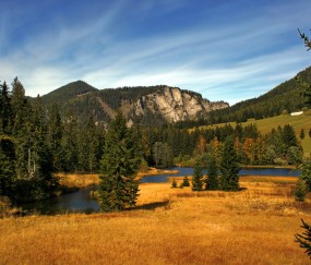 怀孕初期血管明显