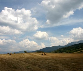 怀孕初期吃过芬必得