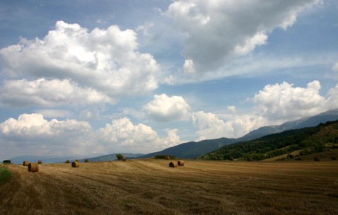 降低胆固醇的10种食物