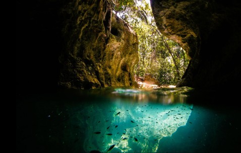 小孩扁桃发烧能用抗生素吗