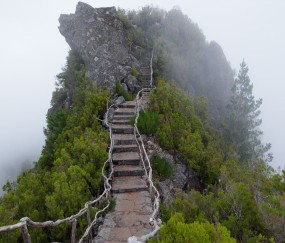 怀孕初期能吃节瓜
