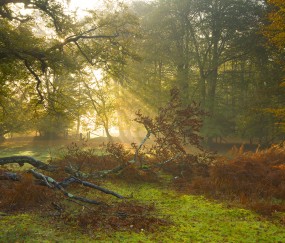 怀孕初期吃辣的腹泻