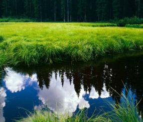 打了个喷嚏怀孕初期抽筋了