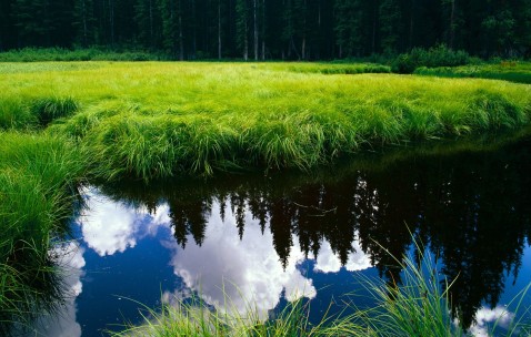打了个喷嚏怀孕初期抽筋了