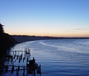 怀孕初期能吃蒜苗炒鸡蛋吗