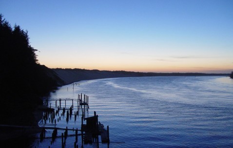 怀孕初期能吃蒜苗炒鸡蛋吗