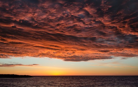 小孩咳嗽发烧可以吃川贝炖梨么